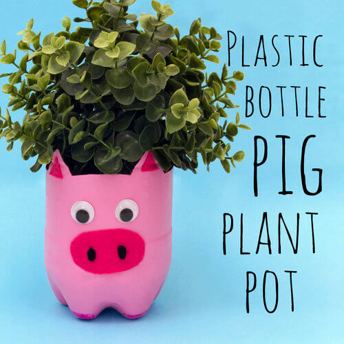 cute-pig-plant-pot-craft-out-of-a-plastic-bottle Cute Pig Plant Pot Craft Out Of A Plastic Bottle