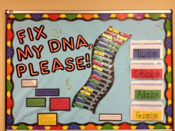 dna-interactive-science-bulletin-board-interactive-bulletin-boards-for-classroom DNA Interactive Science Bulletin Board