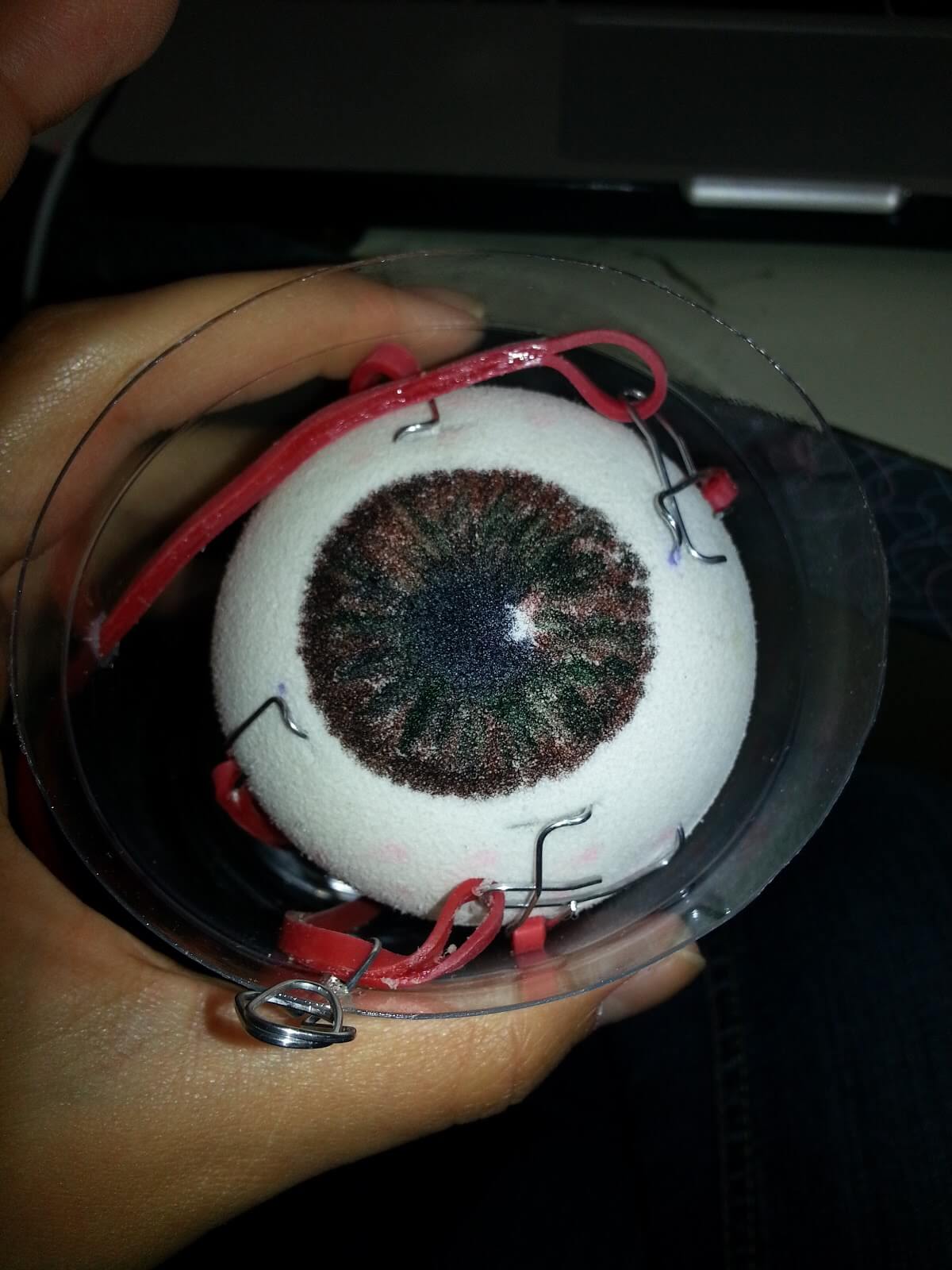 fantastic-human-eyeball-model-craft-idea-using-styrofoam-ball Fantastic Human Eyeball Model Craft Idea Using Styrofoam Ball