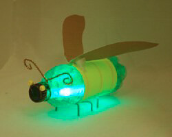 fun-bug-animal-plastic-bottle-craft-tutorial-step-by-step Fun Bug Animal Plastic Bottle Craft Tutorial Step By Step