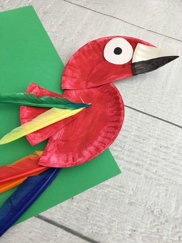 paper-plate-parrot-craft-activities-for-kids Paper Plate Parrot Craft & activities For Kids