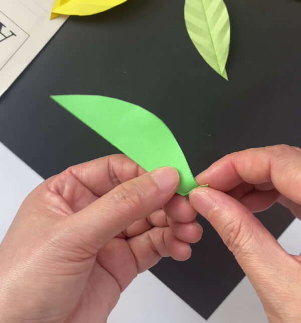Creasing The Green Leaf To Make Veins An instructional tutorial for youngsters on how to make a paper leaf