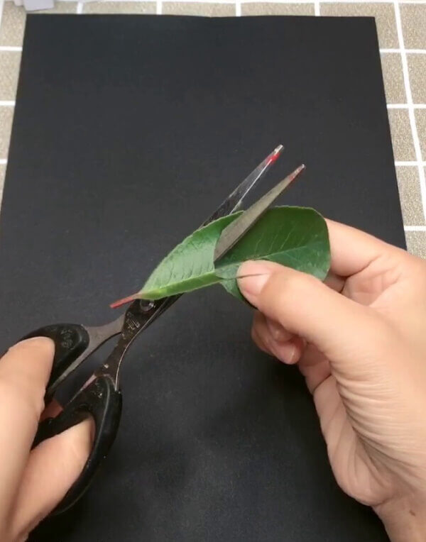 Cool Art Process To Make Bird Craft Idea For Beginner Using Leaves