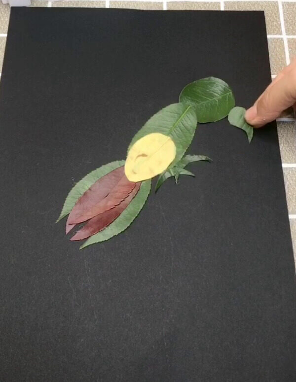 A Beautiful Creative Idea To Make Bird Craft Idea For Kids Using On Paper Simple Recycled Bird Art With Leaves - Step by Step Tutorial